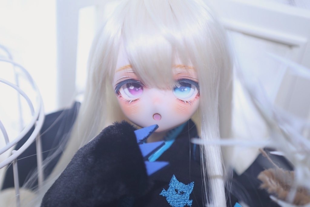 【展示のみ】カスタムヘッド【DDh-01】