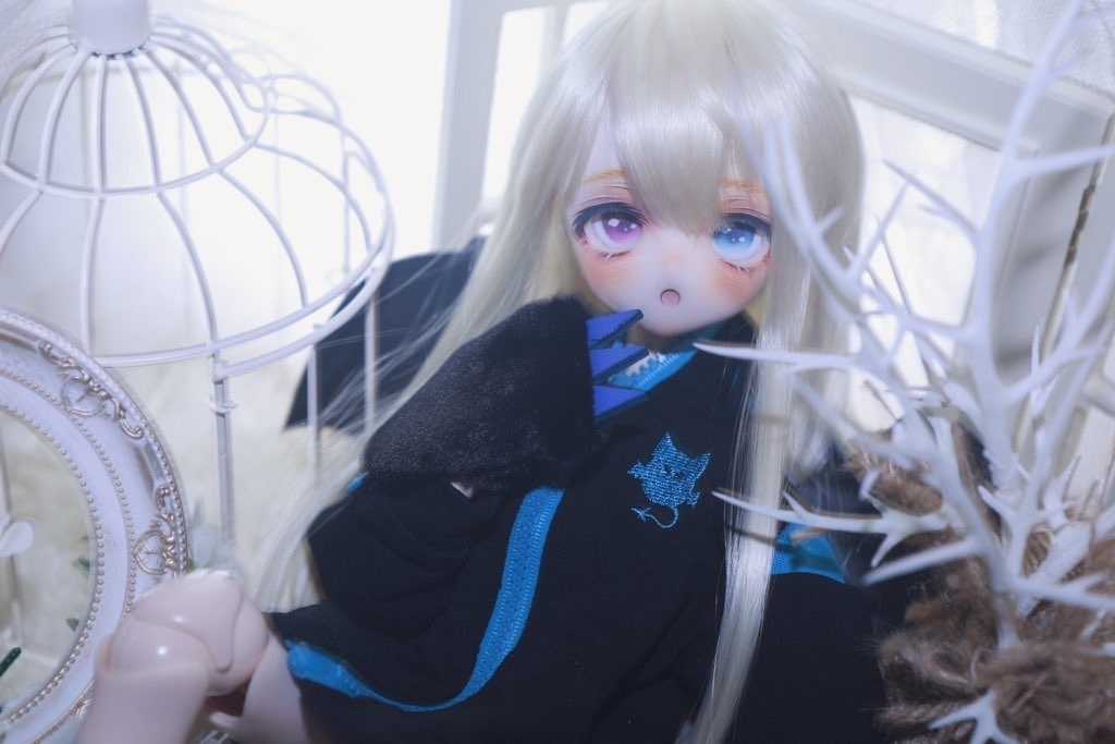 【展示のみ】カスタムヘッド【DDh-01】