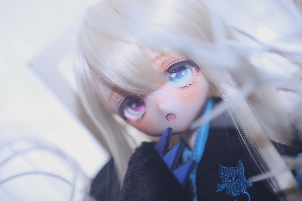 【展示のみ】カスタムヘッド【DDh-01】
