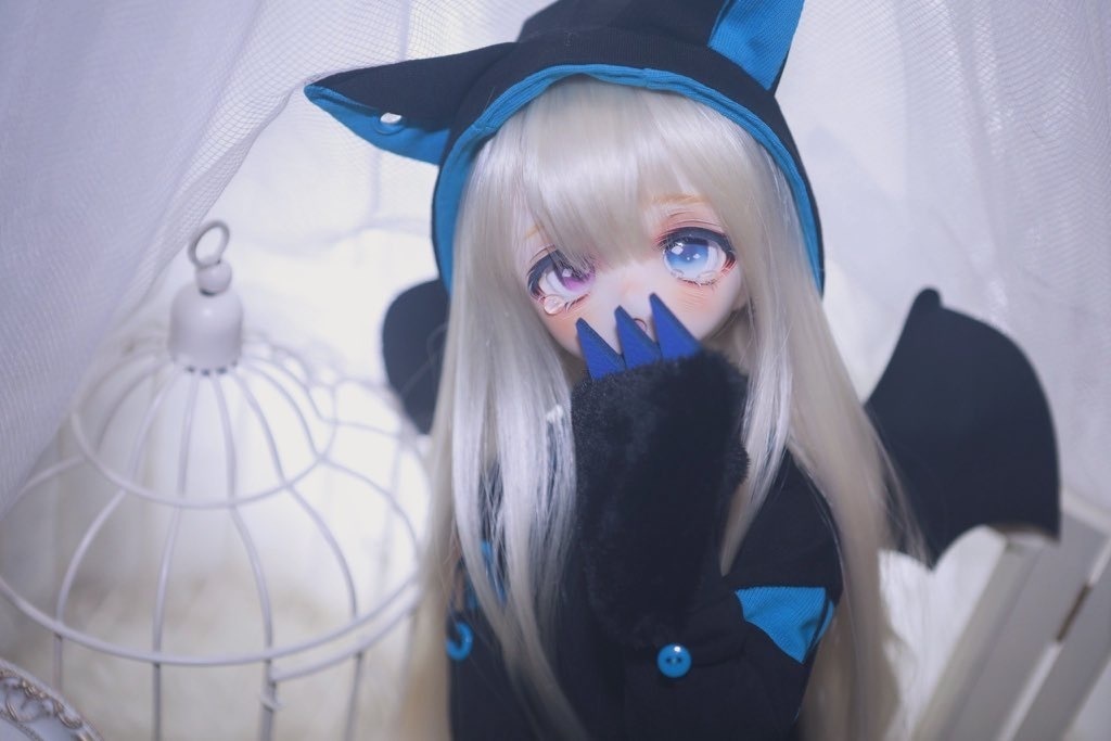 【展示のみ】カスタムヘッド【DDh-01】