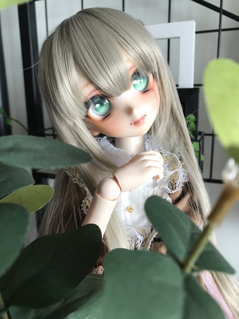 【ddh-06sw】カスタムヘッド【おまけアイ付き】