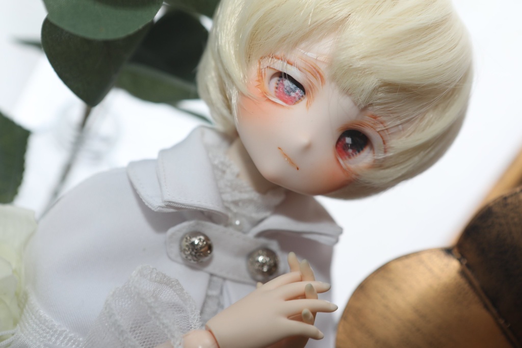 【ddh-27 sw】カスタムヘッド