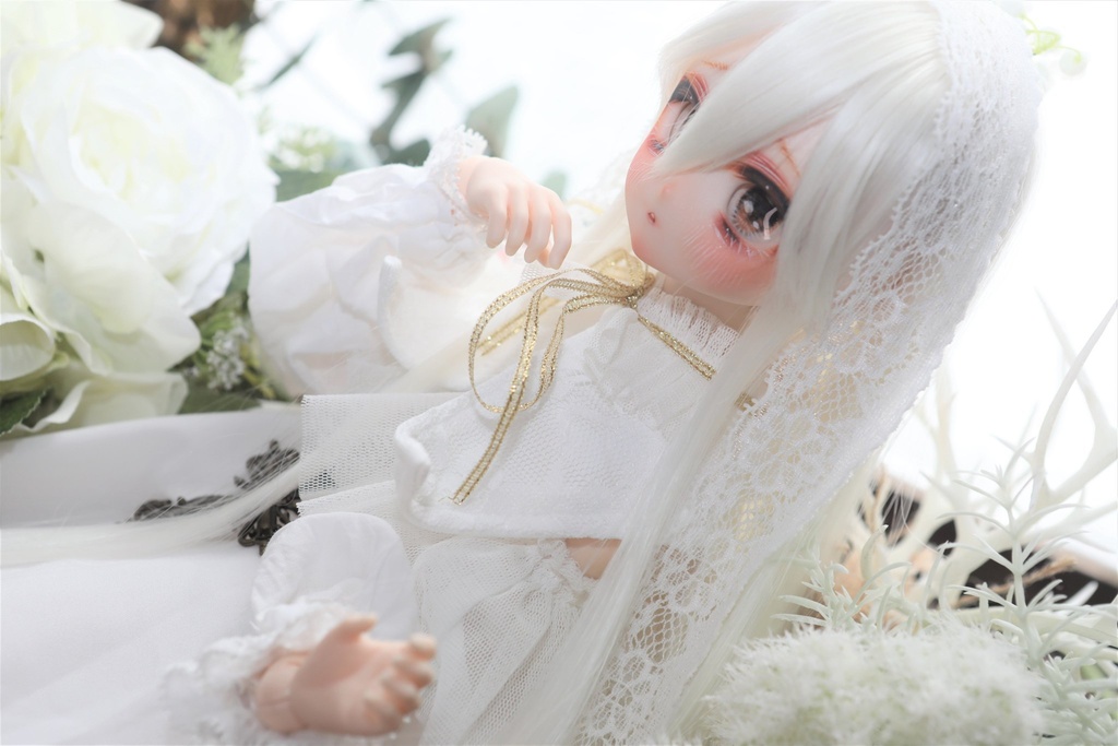 【展示のみ】ddh27 sw カスタムヘッド