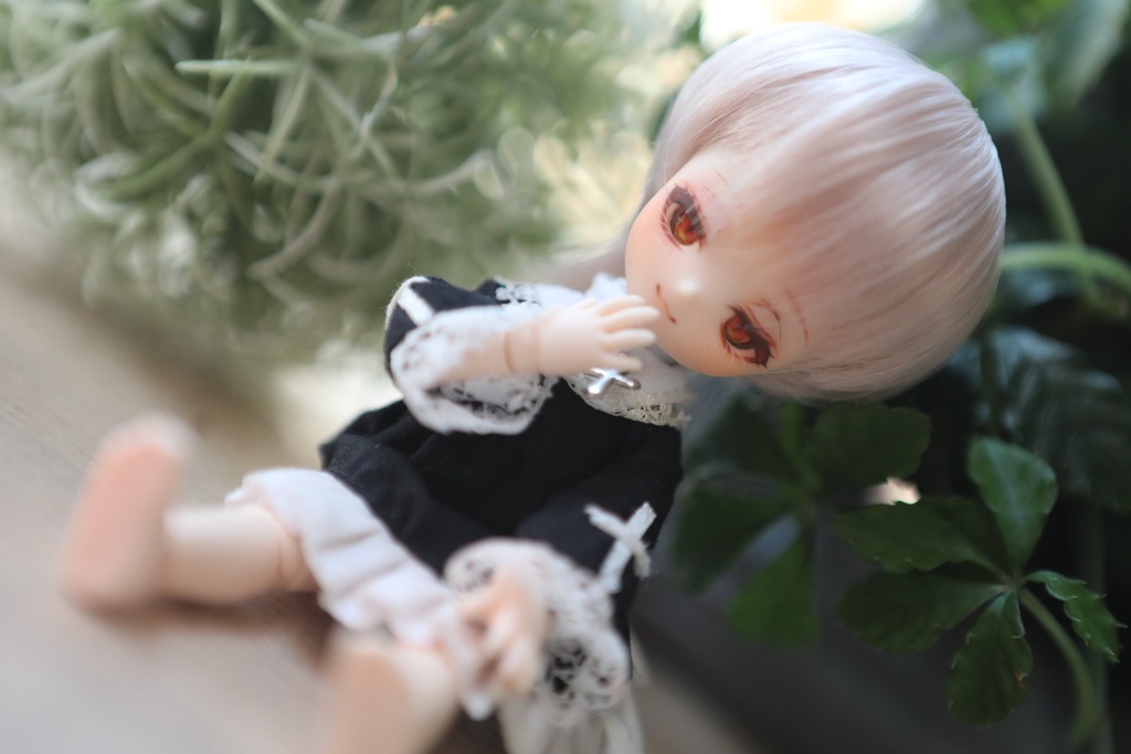 【プティヘッド】カスタムヘッド【ウィッグ、アイ付き】