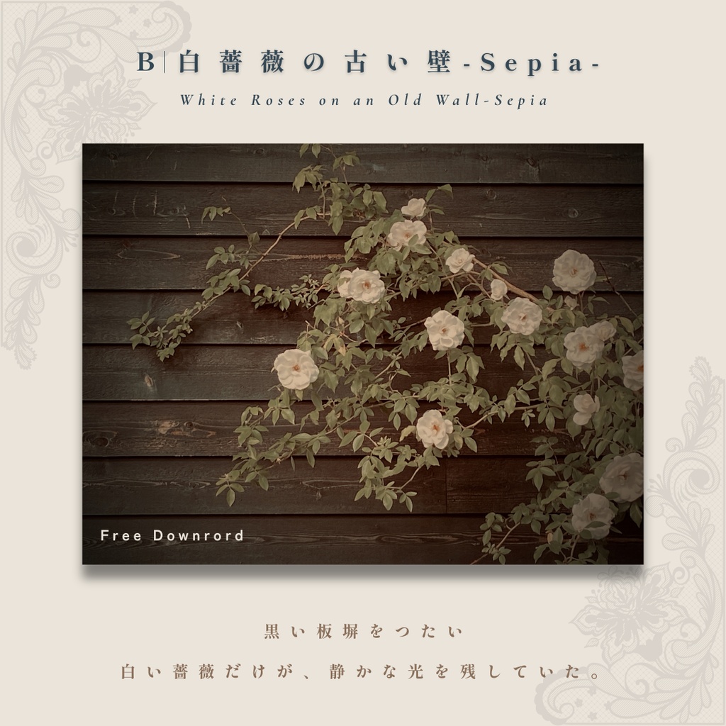表紙・挿絵・ヘッダー素材|アンティーク・シャビーシックの薔薇写真『記憶の薔薇 - 古い壁の向こう』4枚セット