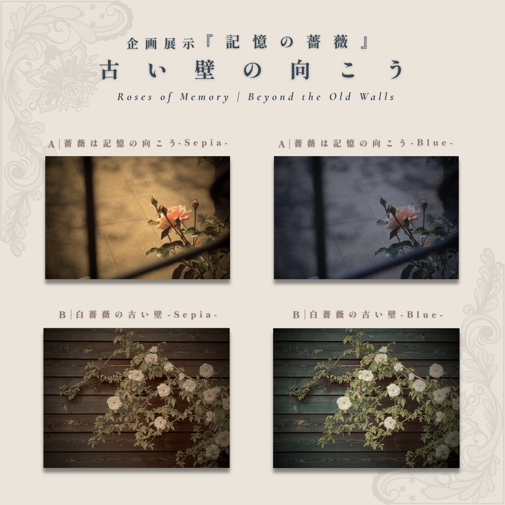 表紙・挿絵・ヘッダー素材|アンティーク・シャビーシックの薔薇写真『記憶の薔薇 - 古い壁の向こう』4枚セット