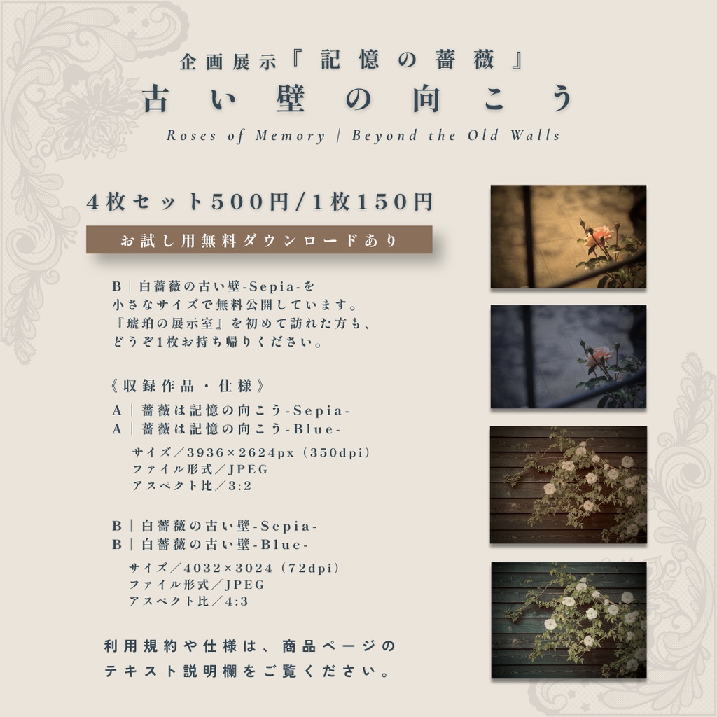 表紙・挿絵・ヘッダー素材|アンティーク・シャビーシックの薔薇写真『記憶の薔薇 - 古い壁の向こう』4枚セット