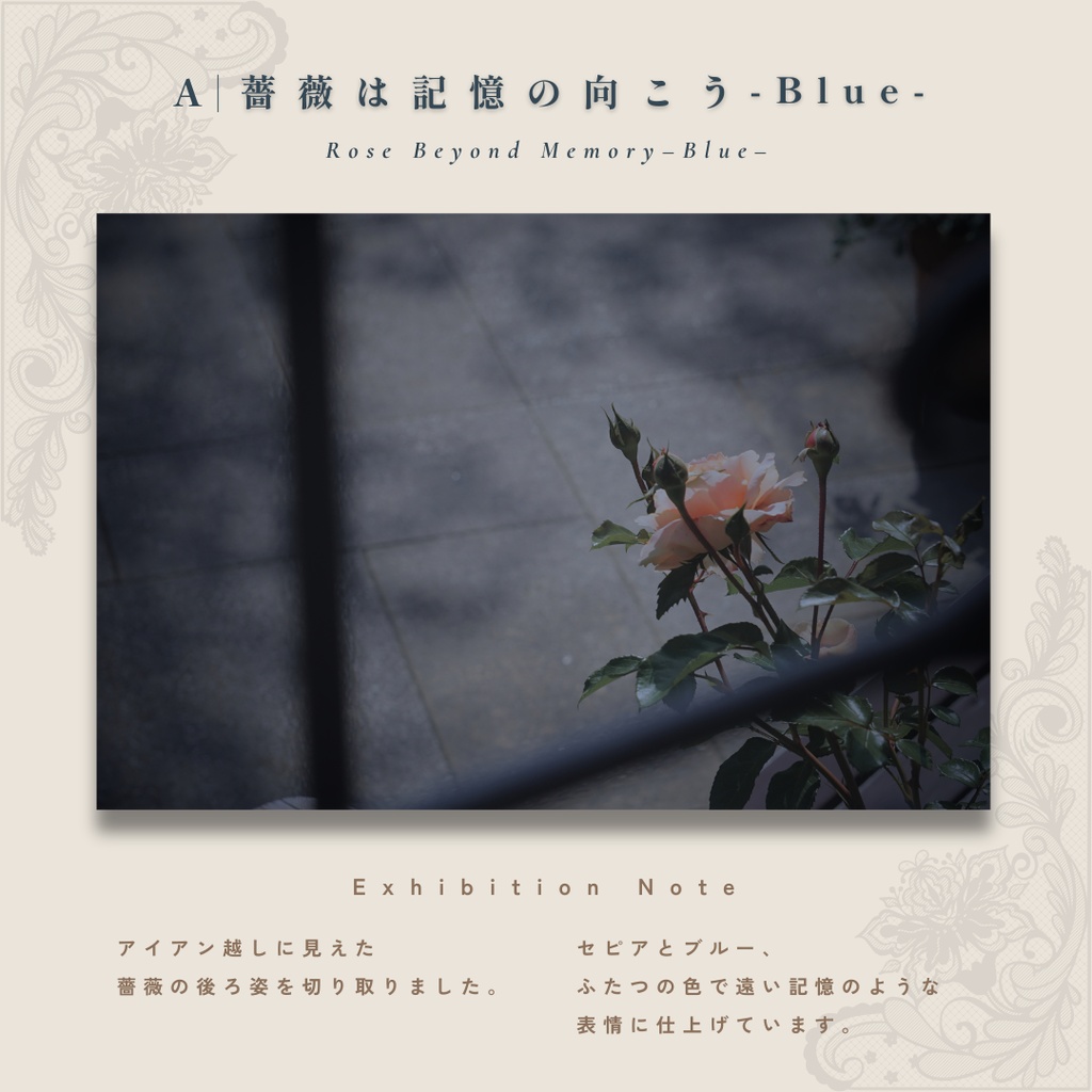 表紙・挿絵・ヘッダー素材|アンティーク・シャビーシックの薔薇写真『記憶の薔薇 - 古い壁の向こう』4枚セット