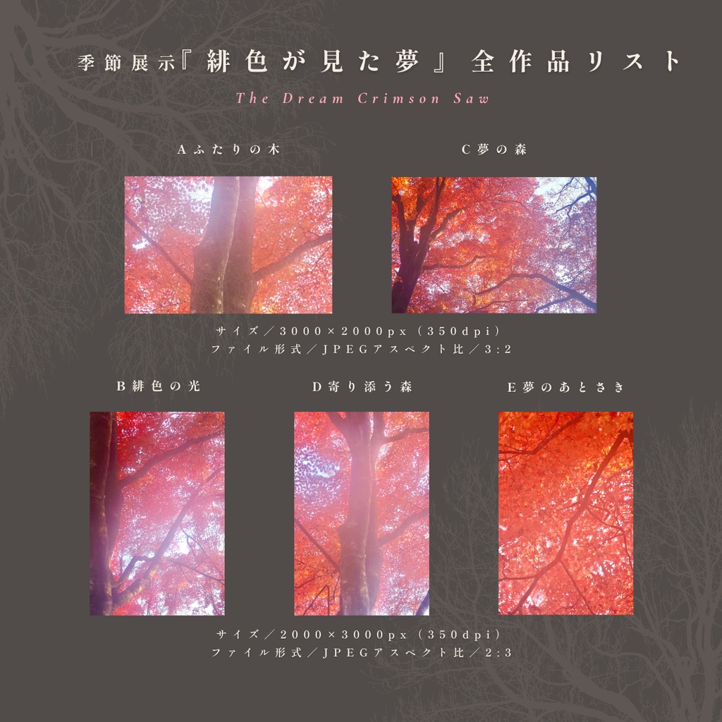 表紙・挿絵・ヘッダー素材|幻想的な紅葉の写真『緋色が見た夢』5枚セット|無料ダウンロード版あり