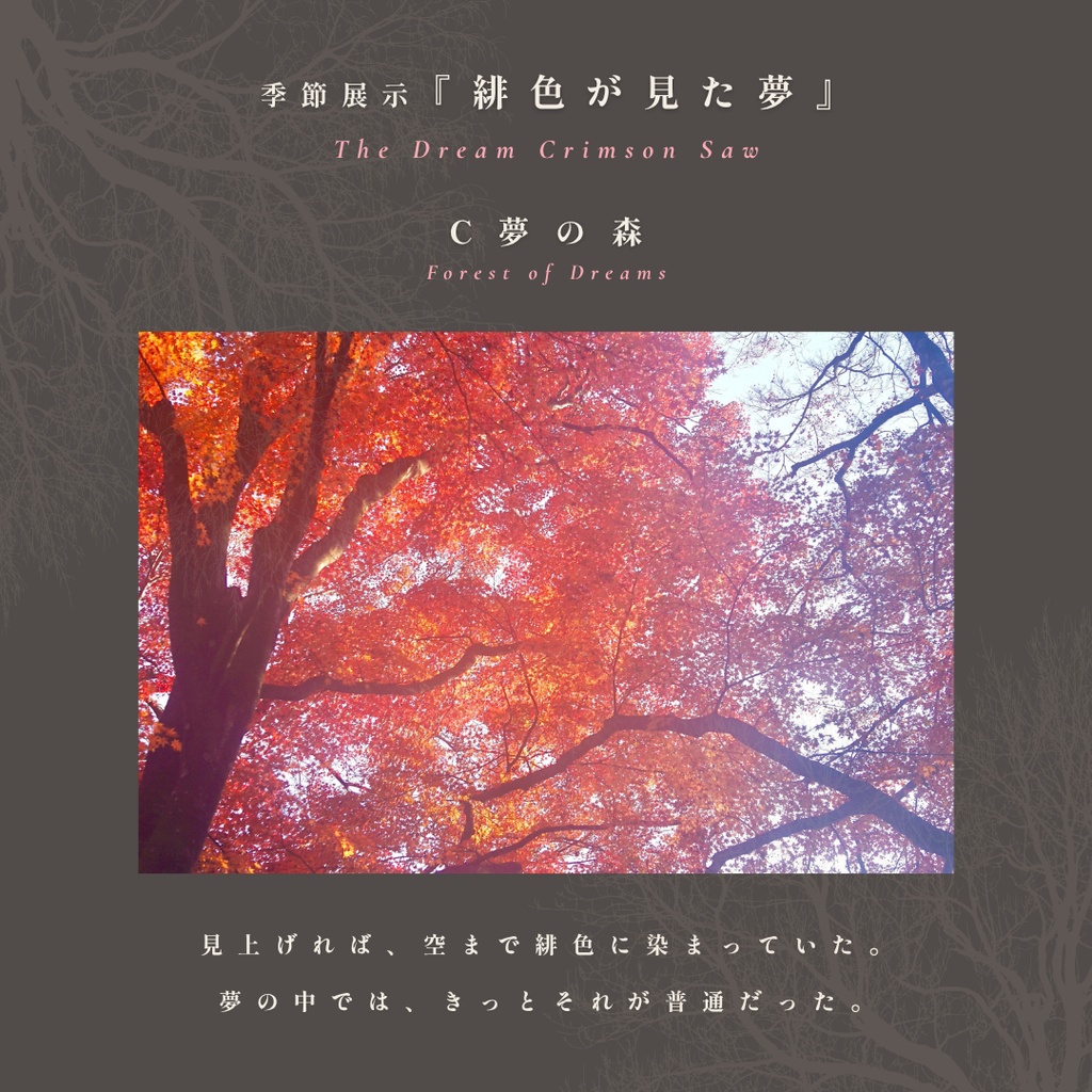 表紙・挿絵・ヘッダー素材|幻想的な紅葉の写真『緋色が見た夢』5枚セット|無料ダウンロード版あり
