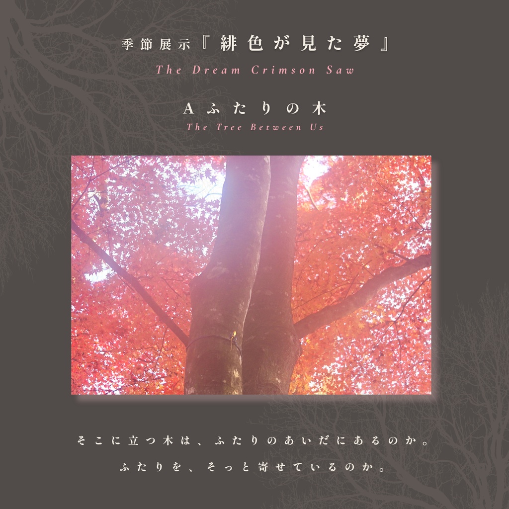 表紙・挿絵・ヘッダー素材｜幻想的な紅葉の写真『緋色が見た夢』5枚セット｜無料ダウンロード版あり