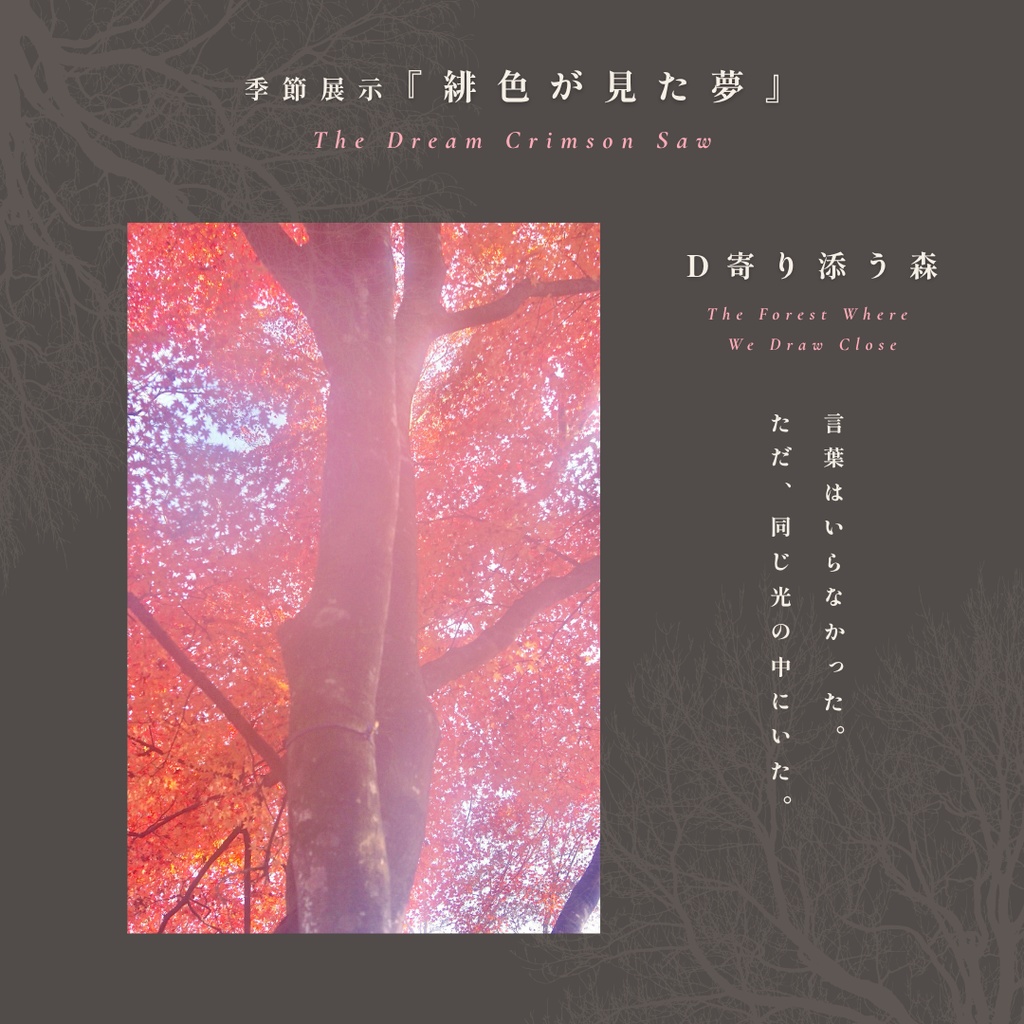 表紙・挿絵・ヘッダー素材|幻想的な紅葉の写真『緋色が見た夢』5枚セット|無料ダウンロード版あり
