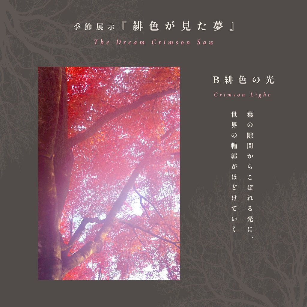 表紙・挿絵・ヘッダー素材|幻想的な紅葉の写真『緋色が見た夢』5枚セット|無料ダウンロード版あり