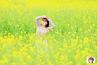 春ポトレ①ネモフィラ、菜の花、チューリップ