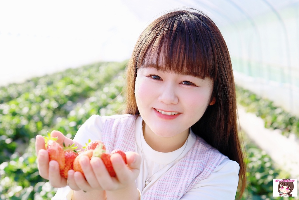 めりぃといちご狩り めりぃのおみせ Booth