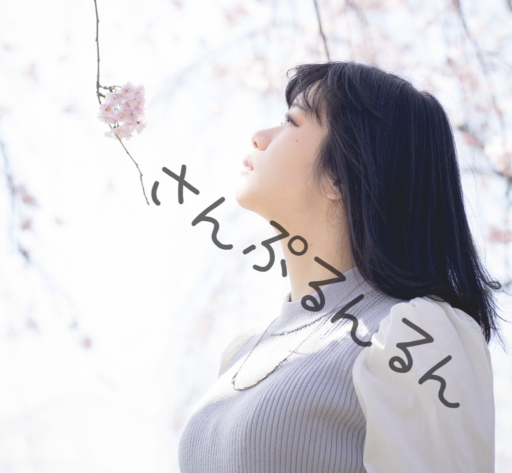 ブロマイド(6枚入り)