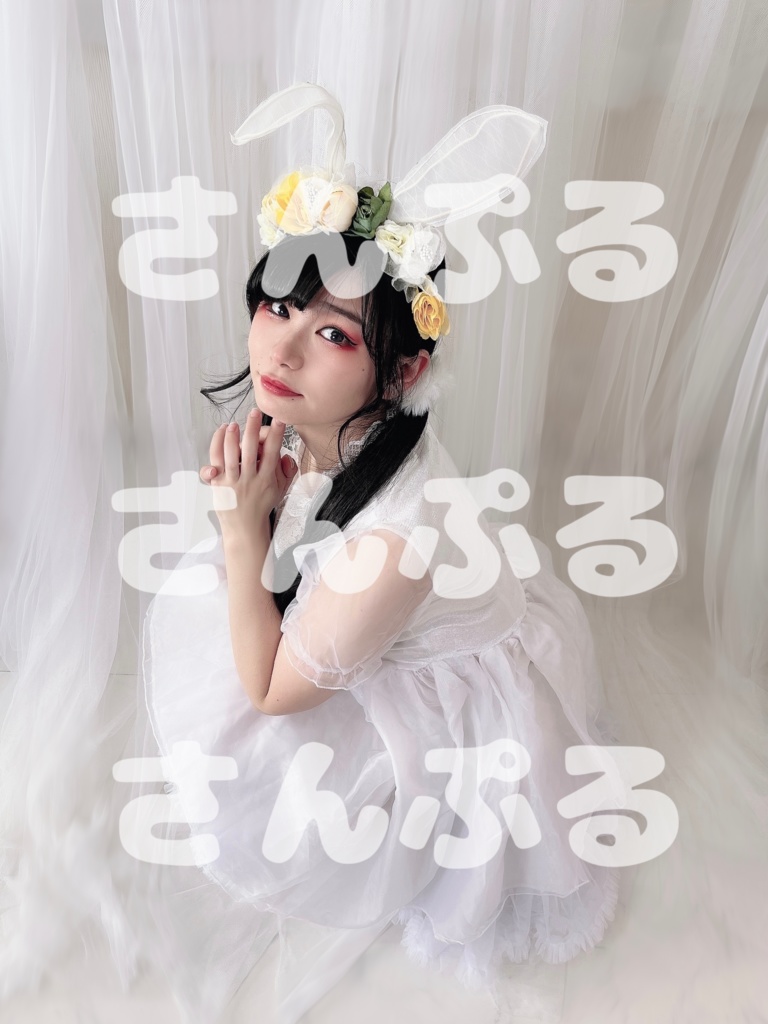 お年賀ブロマイド🐰ぴょんver.  (5枚入り)