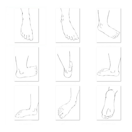 ✨👣【全180度カバー】基本の足素材集:水平・垂直の多角度を網羅!トレース・アタリ用【漫画・イラスト用】背景透過PNG&ClipStudio用データ【無料サンプル有】:2