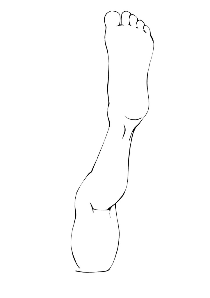 ✨👣脚の全方位ポーズ集:多角アングル・美脚ライン・股関節の構造【漫画・イラスト用】背景透過PNG&ClipStudio用データ【無料サンプル有】:22