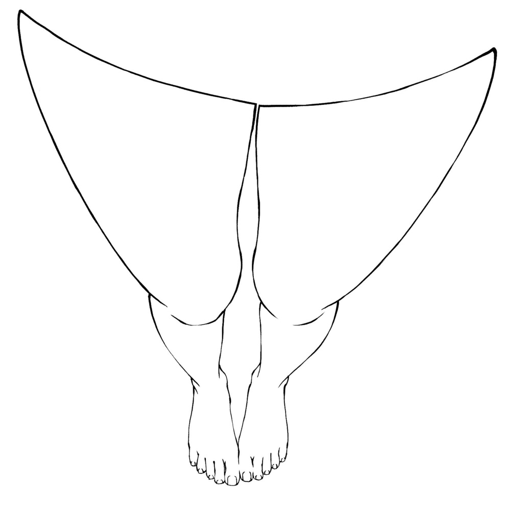👣自分視点(POV)の足 素材集|見下ろし・足元構図【漫画・イラスト用】背景透過PNG&ClipStudio用データ【無料サンプル有】:99
