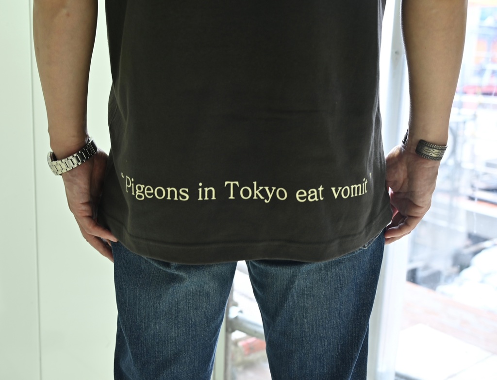 東京の鳩は吐瀉物を喰らう「真実」