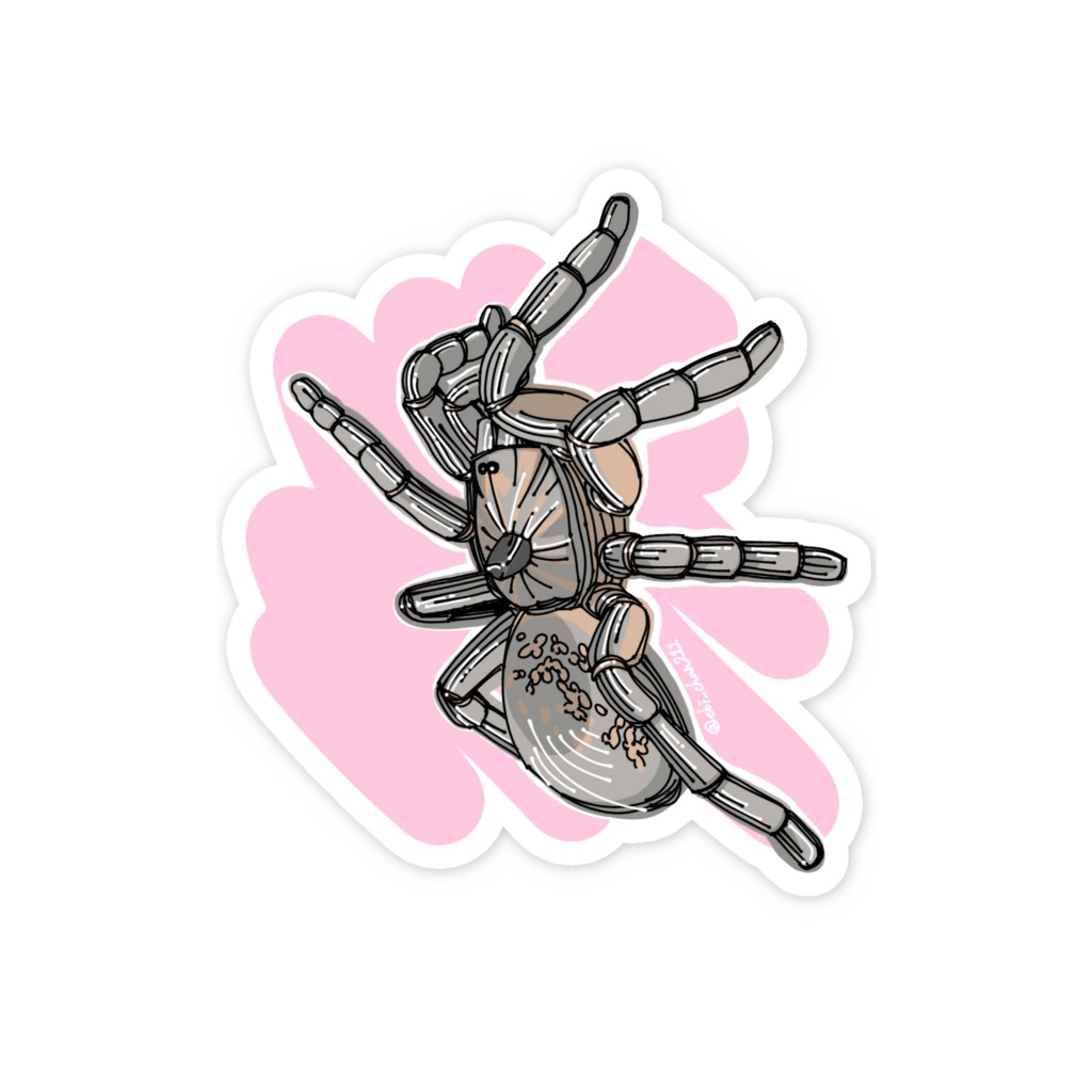 タランチュラステッカー<ストレートホーンドバブーン背景有り>