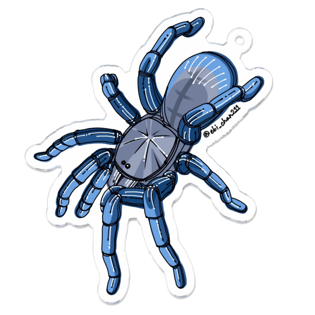 タランチュラアクキー<コバルトブルー>