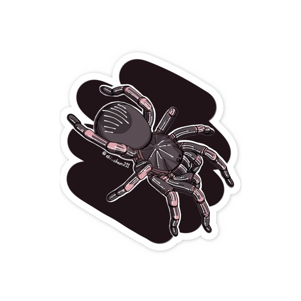 タランチュラステッカー<サンタレムピンクヘアード背景有り>
