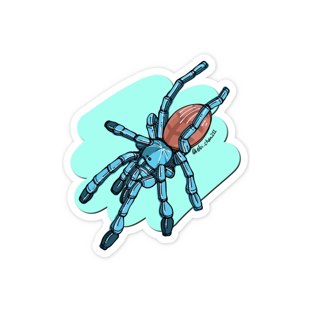 タランチュラステッカー<アンティルピンクトゥー幼体背景有り>