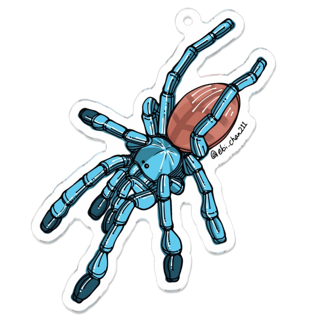 タランチュラアクキー<アンティルピンクトゥー幼体>