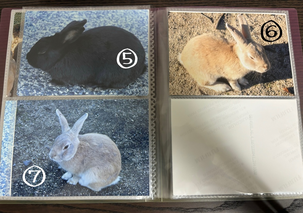 西日本の絶景L判写真2枚セット