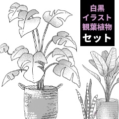 【漫画用】観葉植物