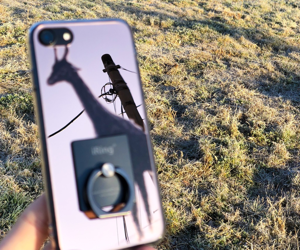 #映せ世界 ケース 「キリン」 (iPhone7、8)