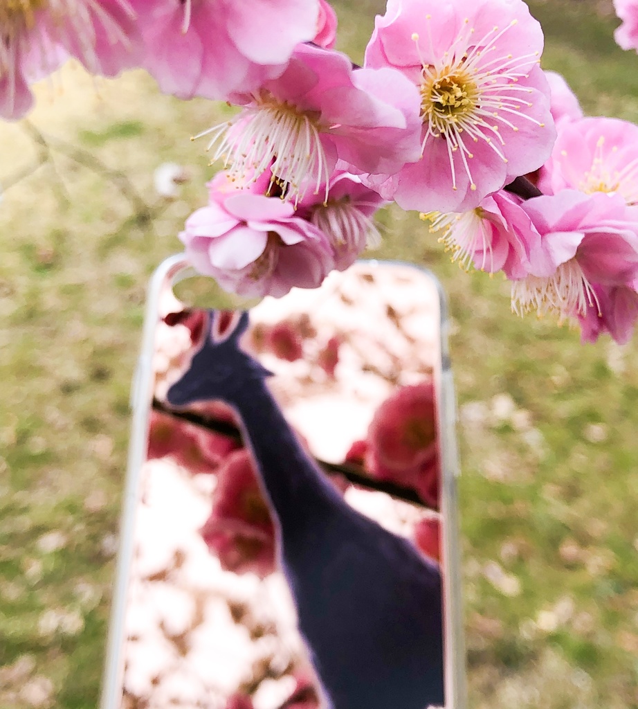 #映せ世界 ケース 「キリン」 (iPhone7、8)