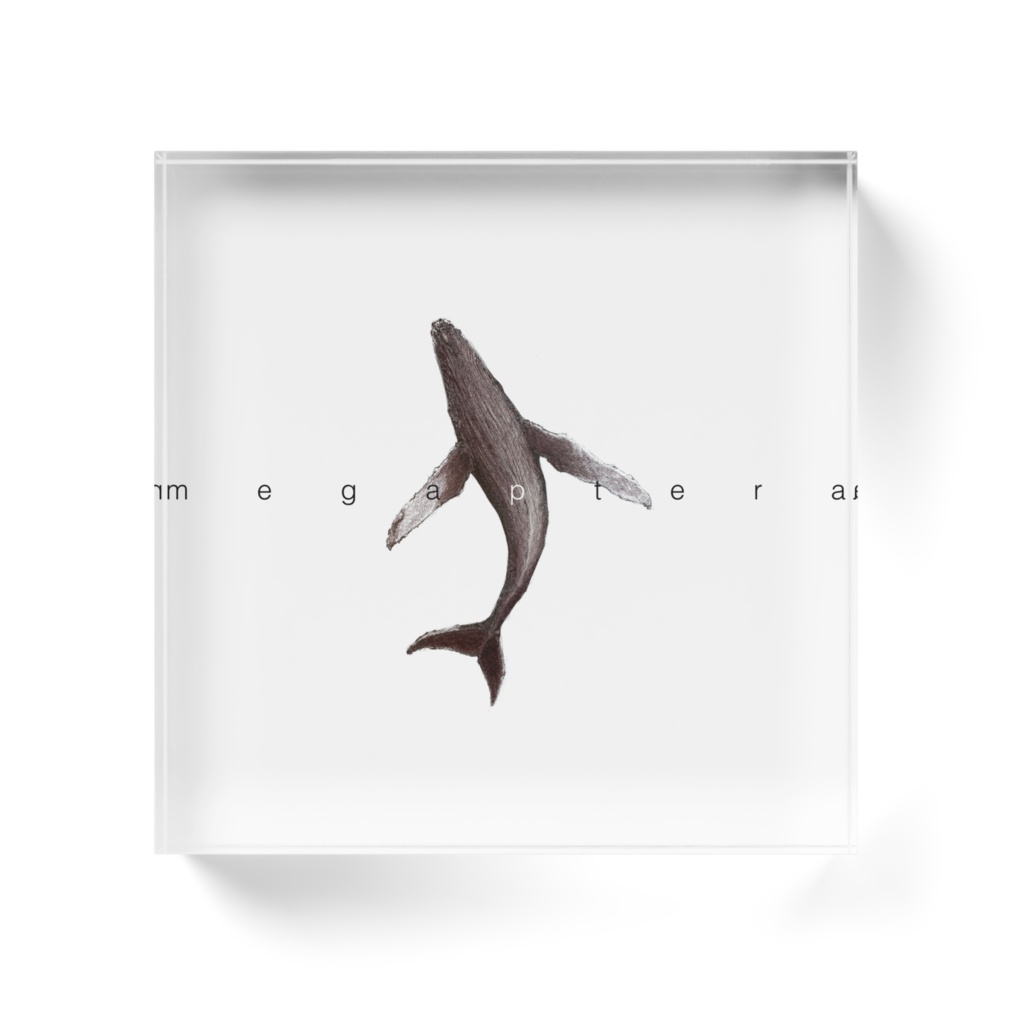 クジラブロック スクエア