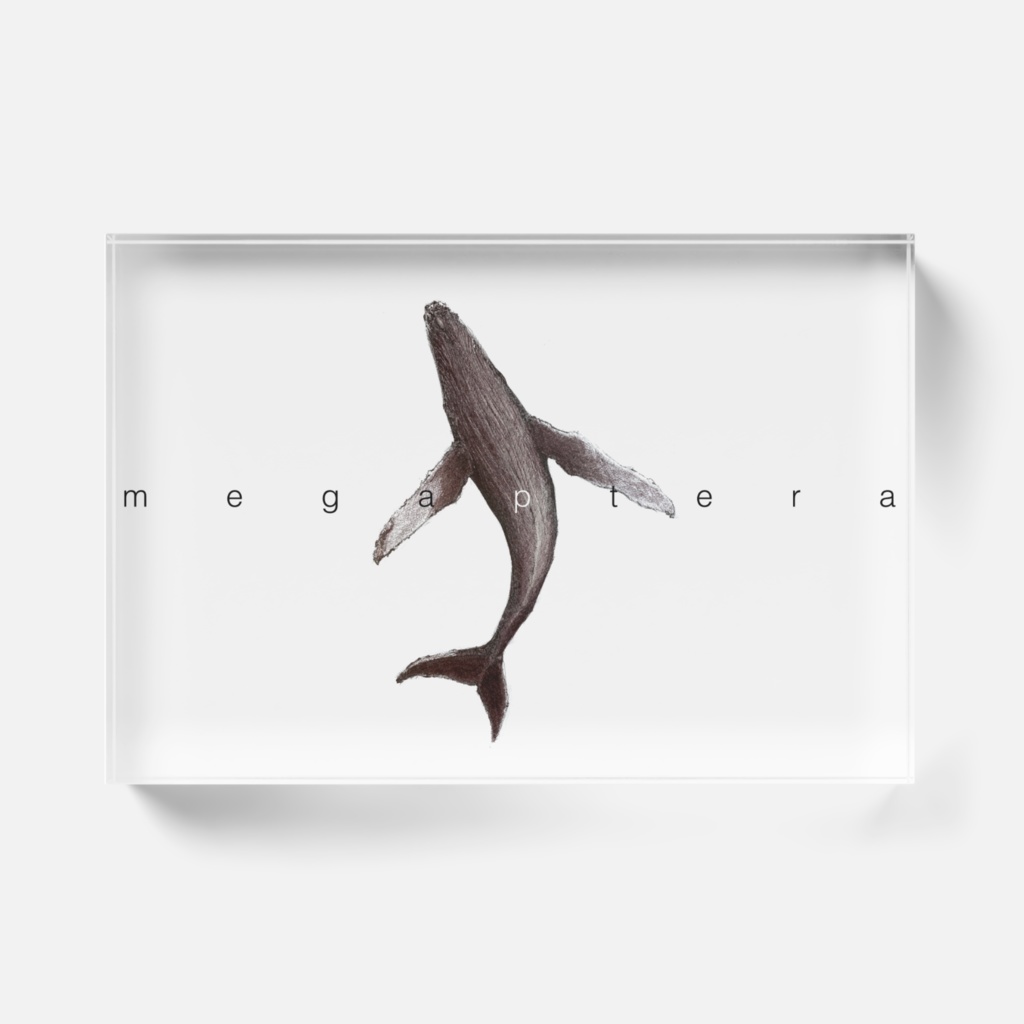 クジラブロック ワイド