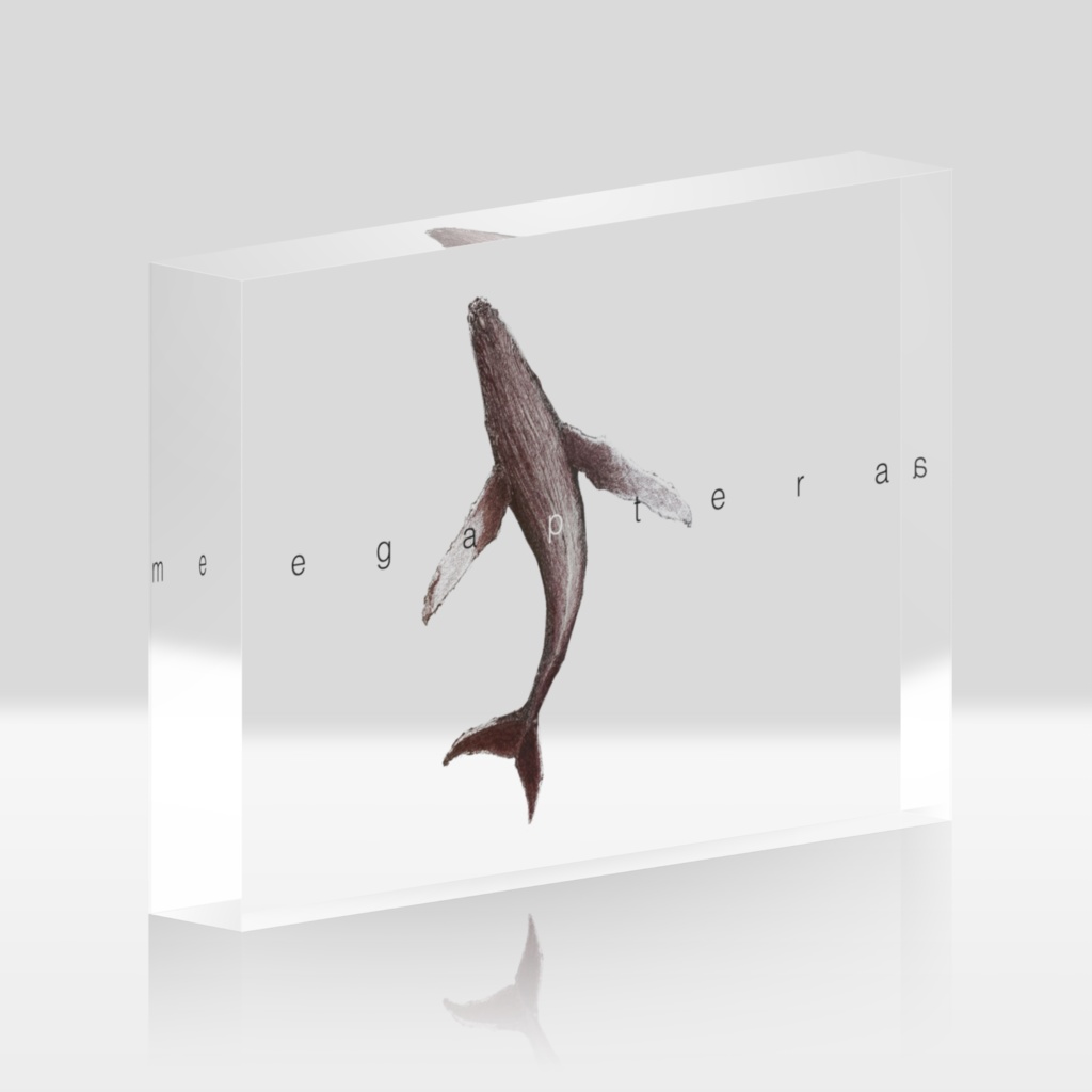 クジラブロック ワイド