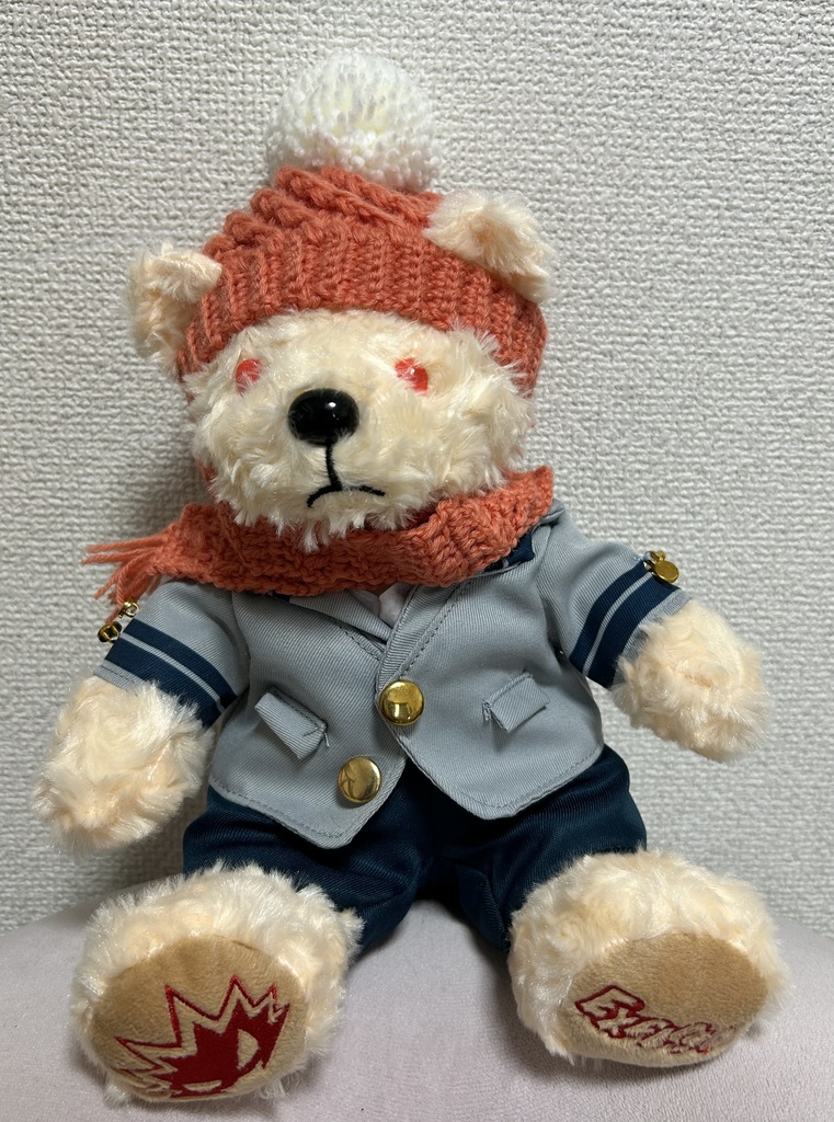 耳出てるけどクソあったけ〜ポンポン帽子