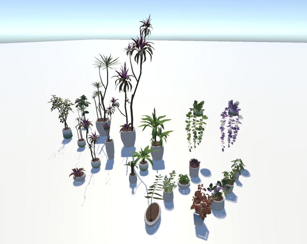 Indoor Potted Plant Collection--室内盆栽合集