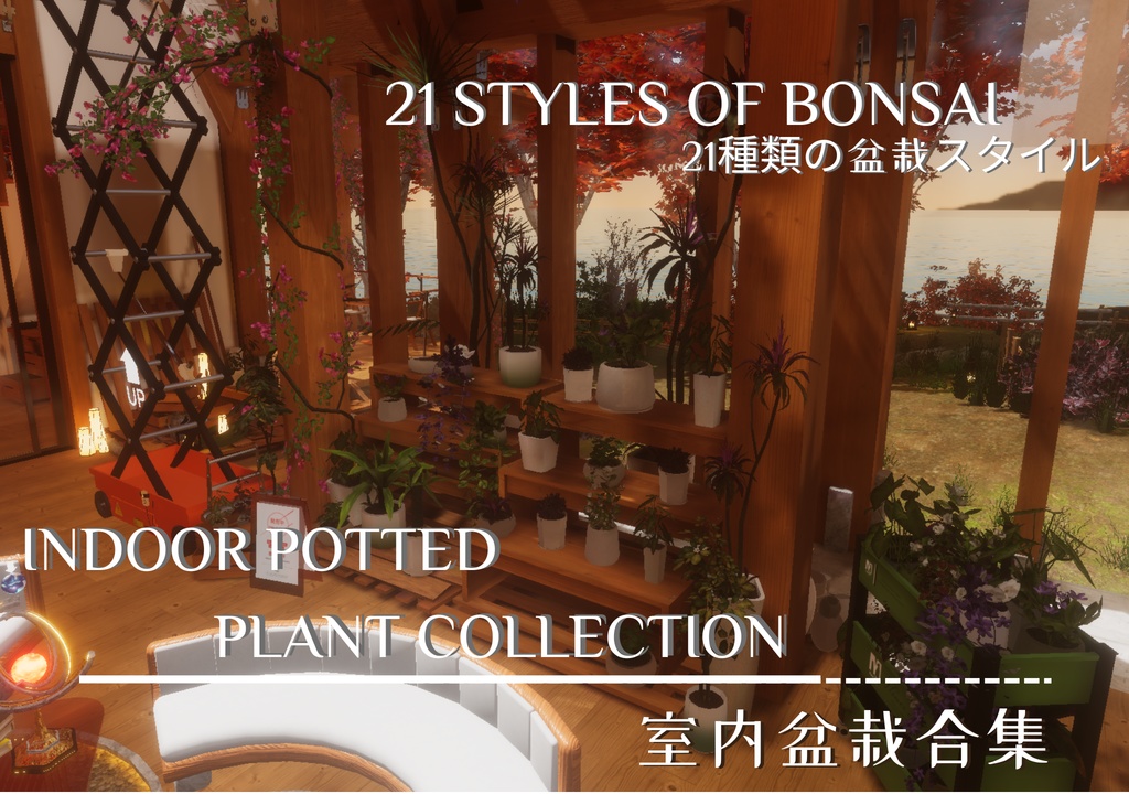 Indoor Potted Plant Collection--室内盆栽合集