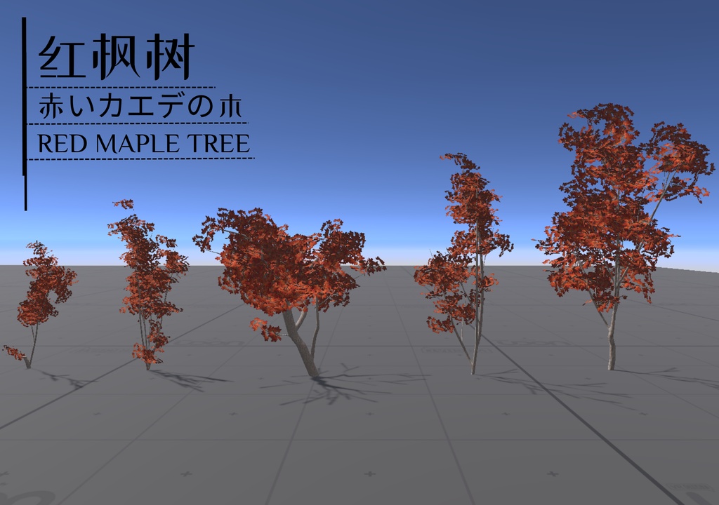 Plant digital assets_植物のデジタル資産