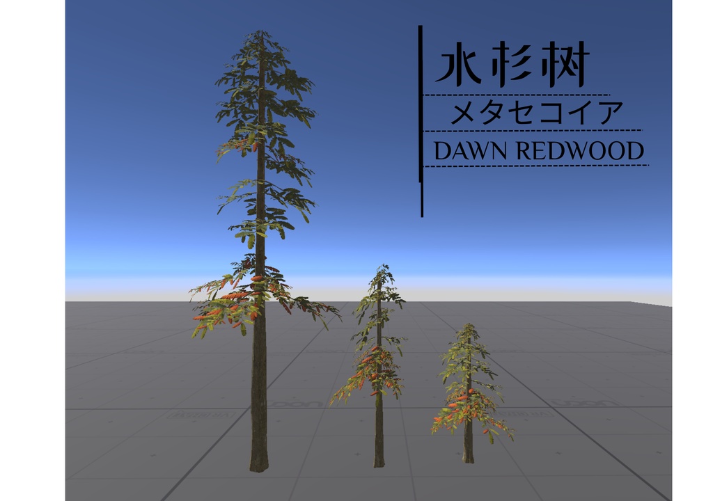 Plant digital assets_植物のデジタル資産