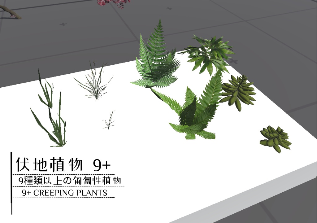 Plant digital assets_植物のデジタル資産