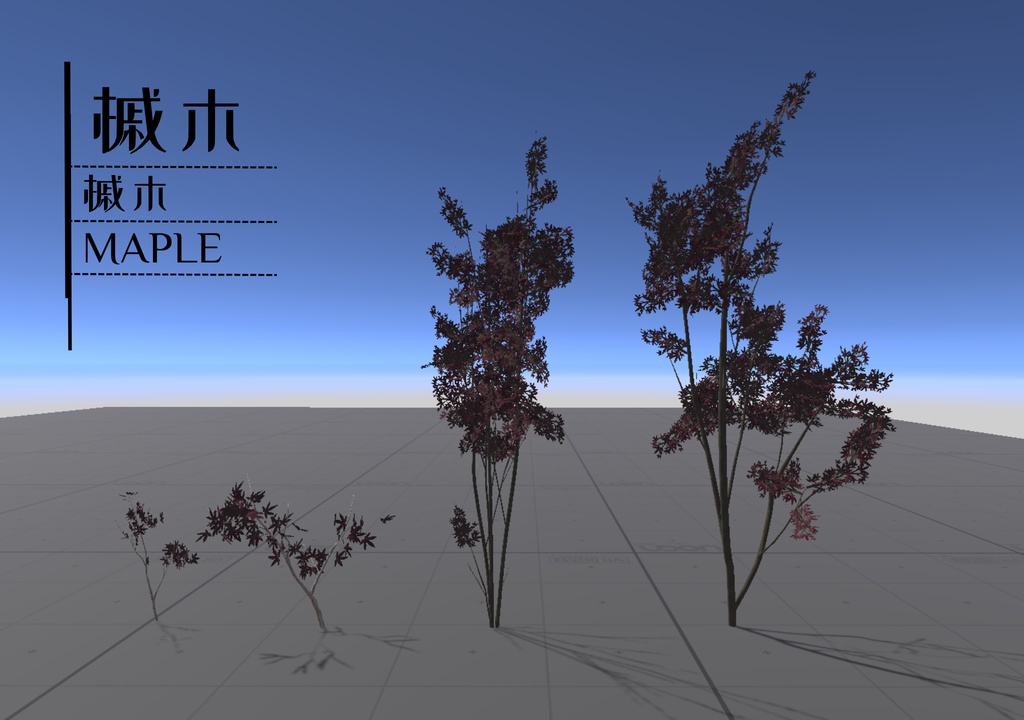 Plant digital assets_植物のデジタル資産