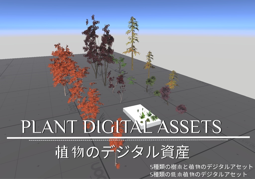 Plant digital assets_植物のデジタル資産