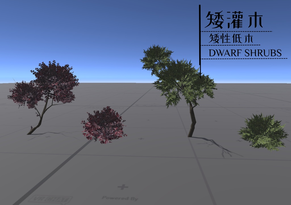 Plant digital assets_植物のデジタル資産