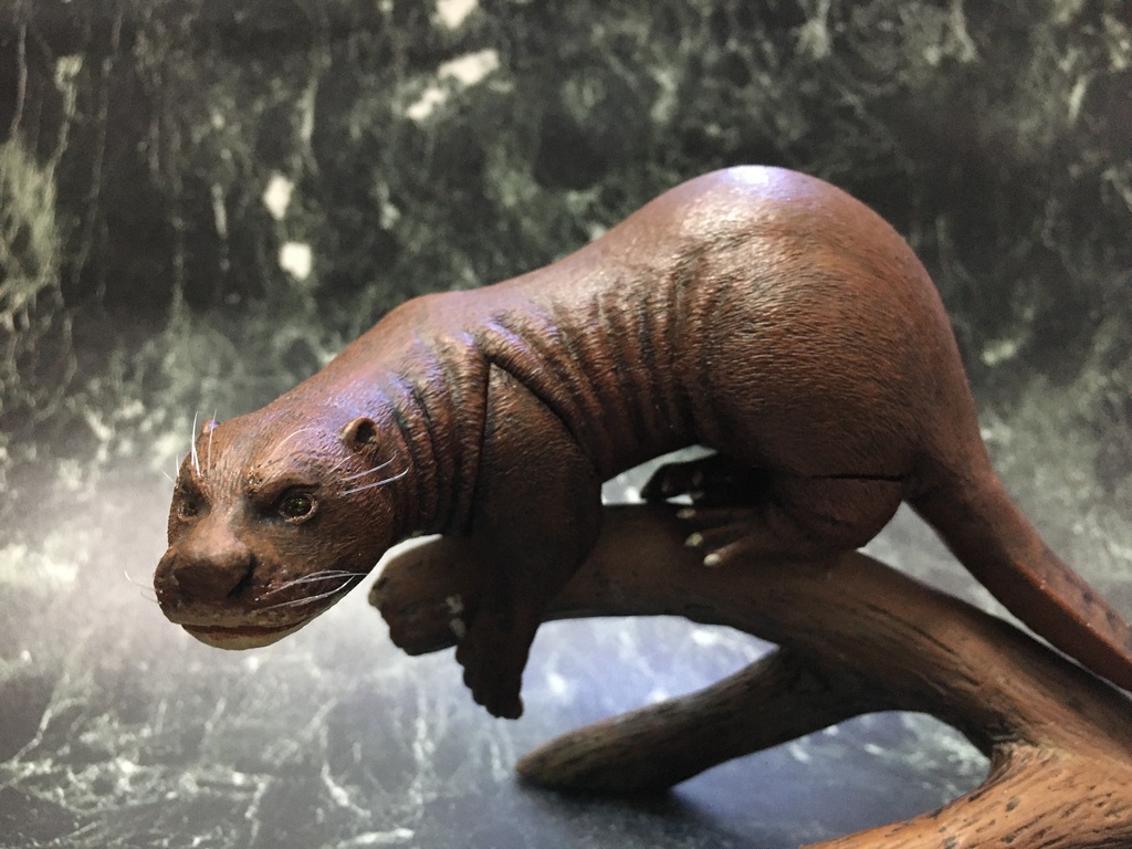 セール品【キット品】オオカワウソ