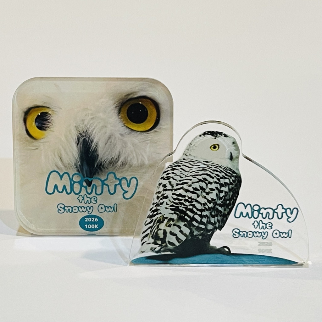 MINTY TOKYO アクリルクリップ ２個セット (Acrylic Clips Set of 2)