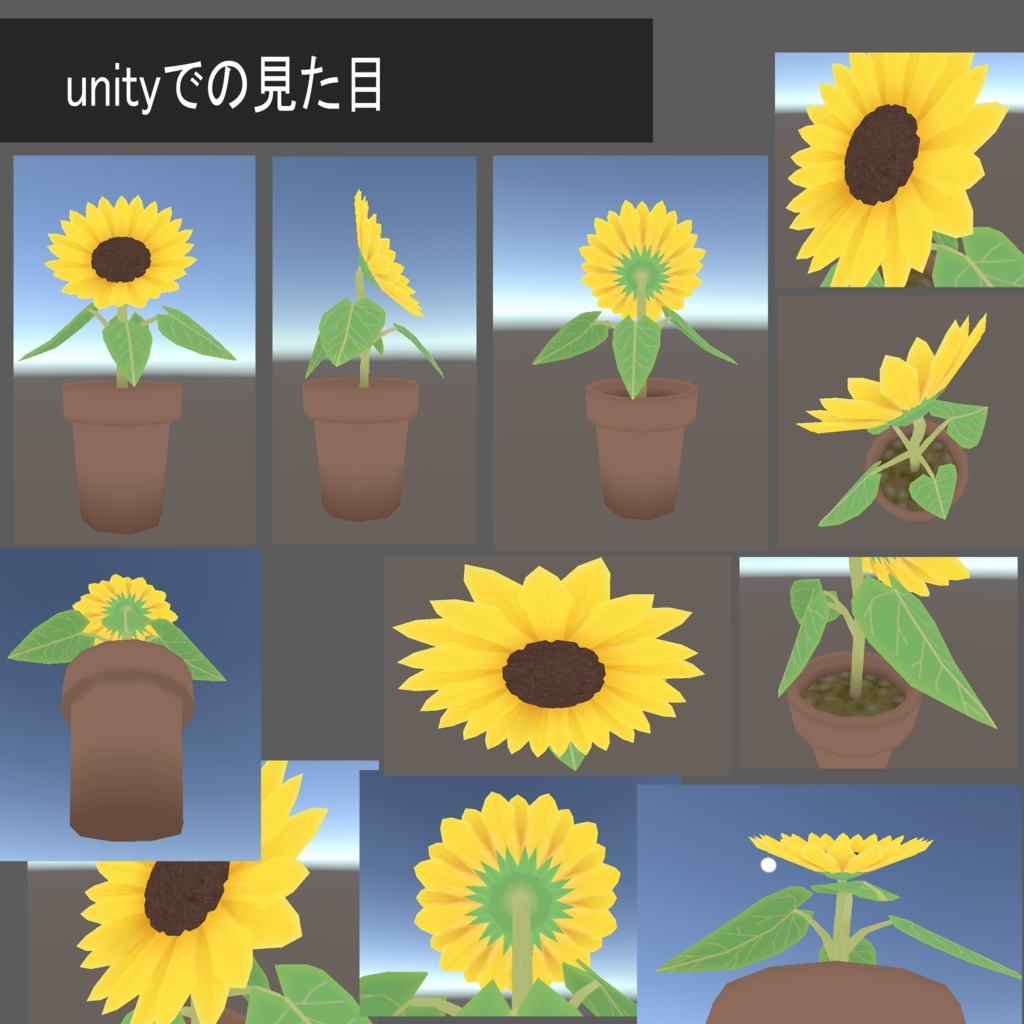 ヒマワリの小鉢