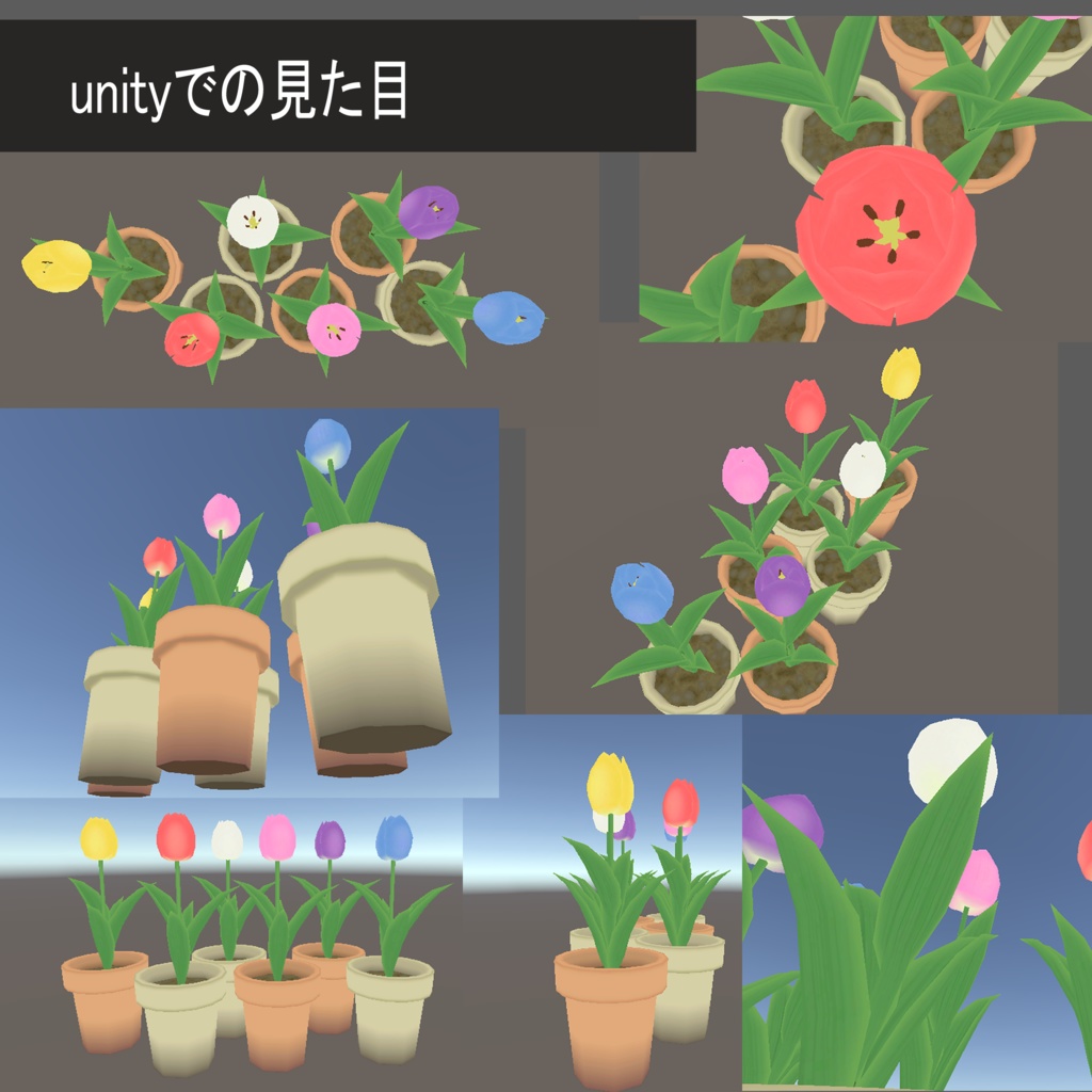 チューリップの鉢